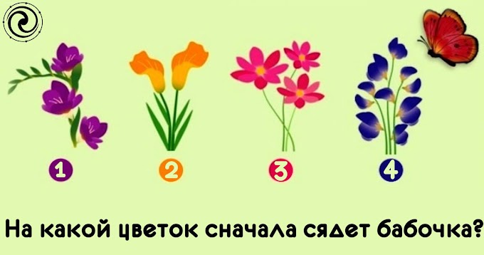 На какой цветок сначала сядет бабочка?