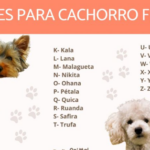 Nomes de Cachorro Fêmea