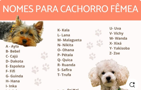 Nomes de Cachorro Fêmea