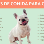 Nomes de Cachorro Inspirados em Comida