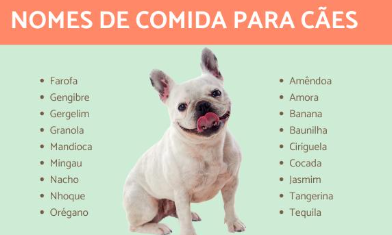 Nomes de Cachorro Inspirados em Comida