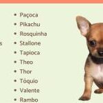 nomes de cachorro femea pincher