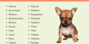 nomes de cachorro femea pincher