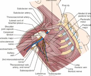 ICD-10 Codes for Breast Pain