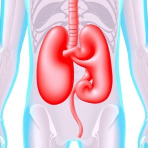 ICD-10 codes for dysuria