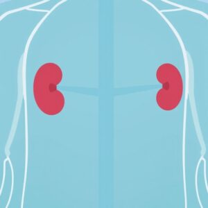 ICD-10 Codes for Kidney Transplantation