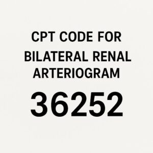 CPT Code for Bilateral Renal Arteriogram