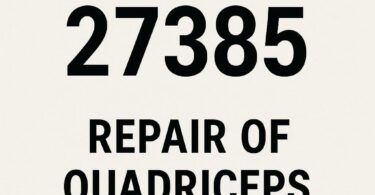 CPT Code for Repair of Quadriceps Tendon