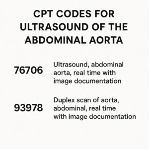 CPT Codes for Ultrasound of the Abdominal Aorta